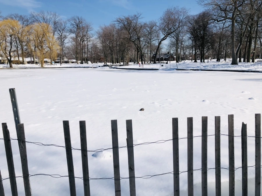 IMG_1733.jpg?type=w966