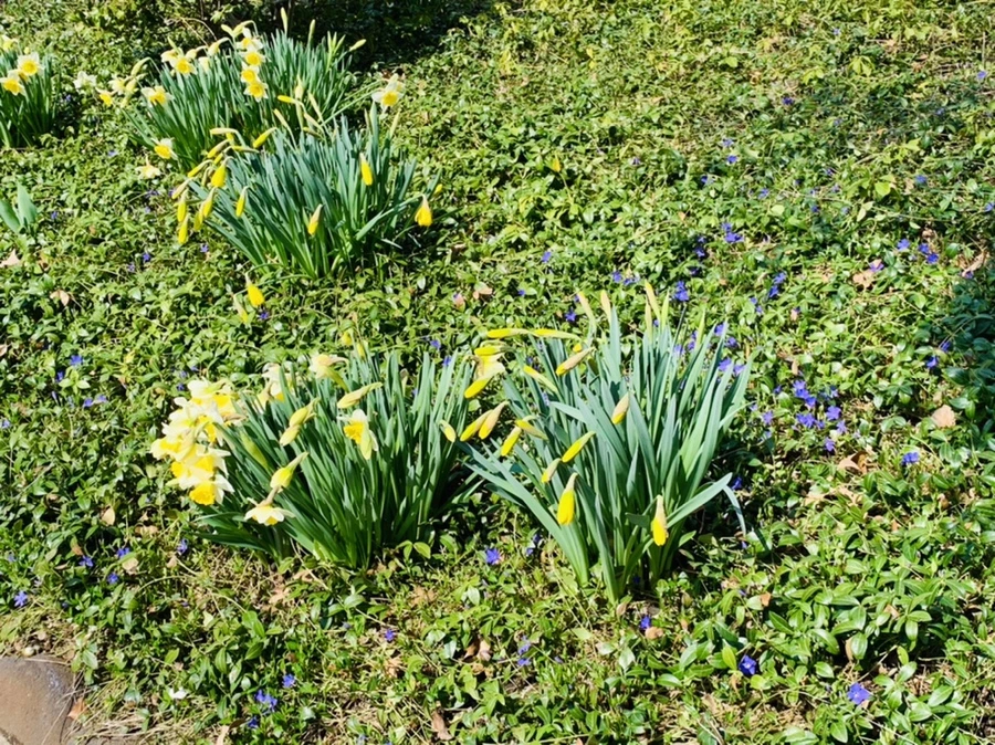 IMG_4319.jpg?type=w966