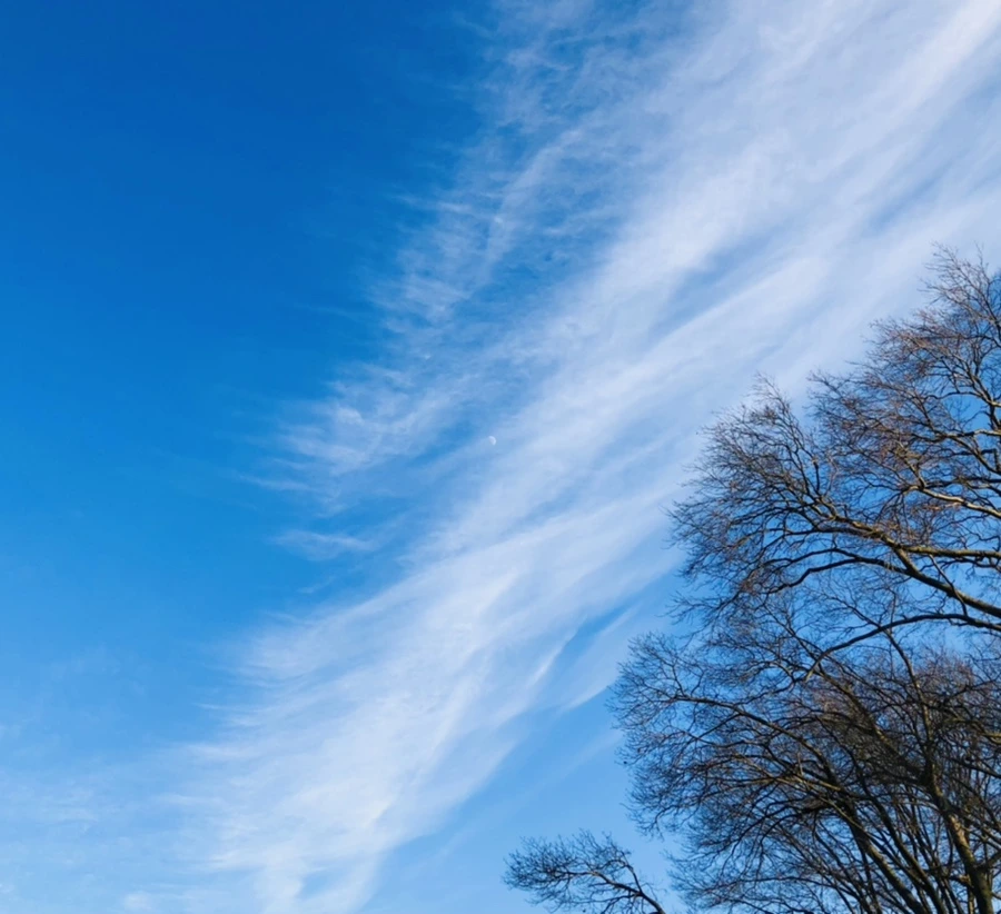 IMG_4825.jpg?type=w966