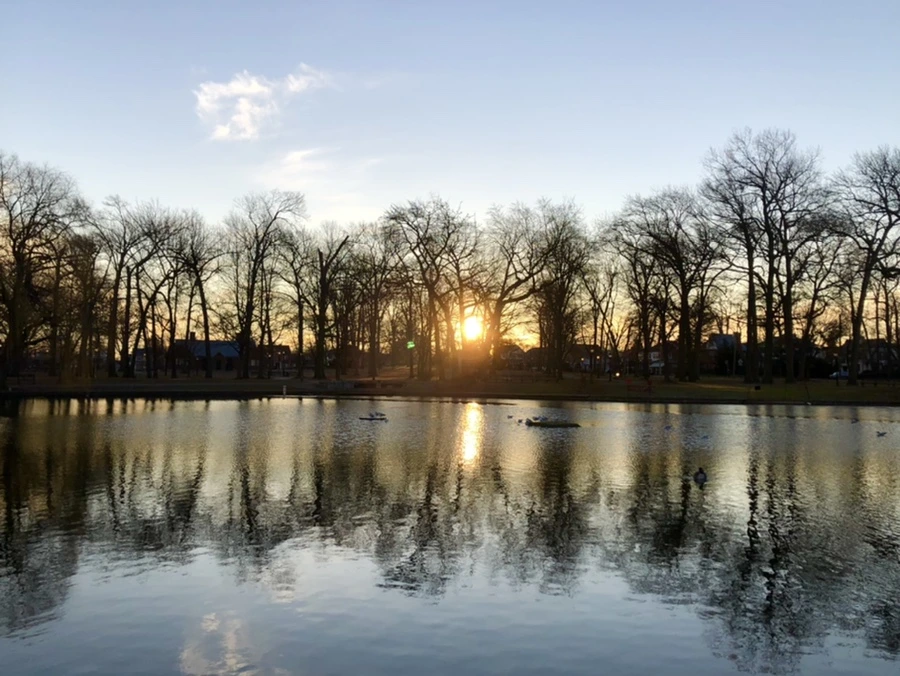 IMG_0759.jpg?type=w966