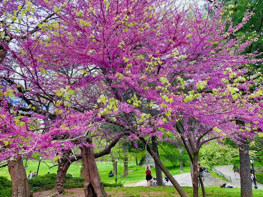 IMG_8758.jpg?type=w966