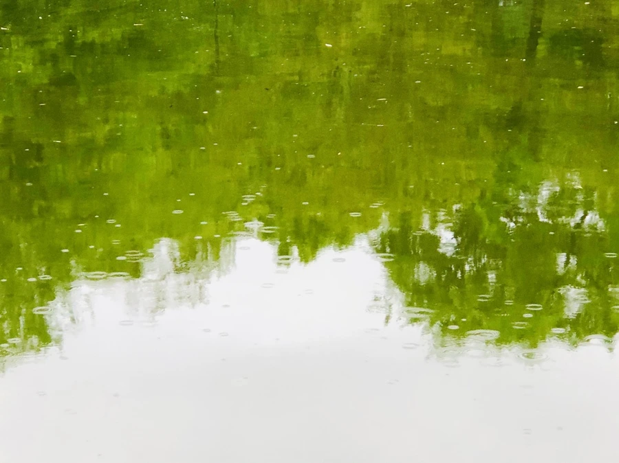 IMG_3225.jpg?type=w966