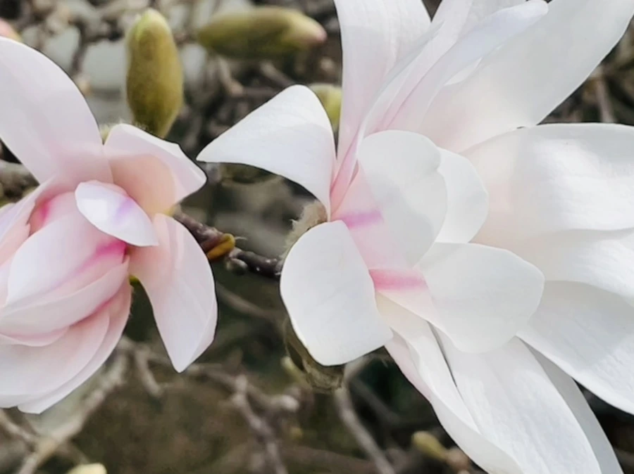 IMG_6704.jpg?type=w966