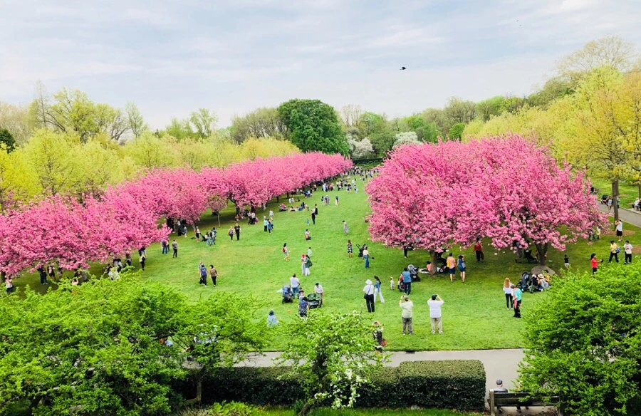 IMG_5439.jpg?type=w966