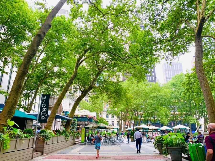 IMG_4977.jpg?type=w966