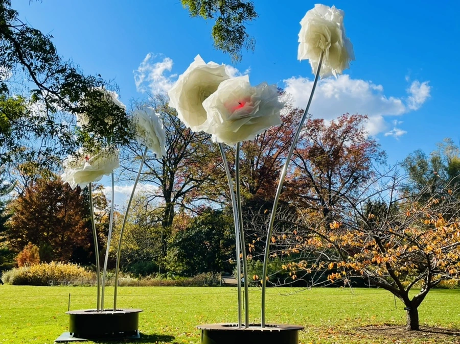 IMG_3149.jpg?type=w966