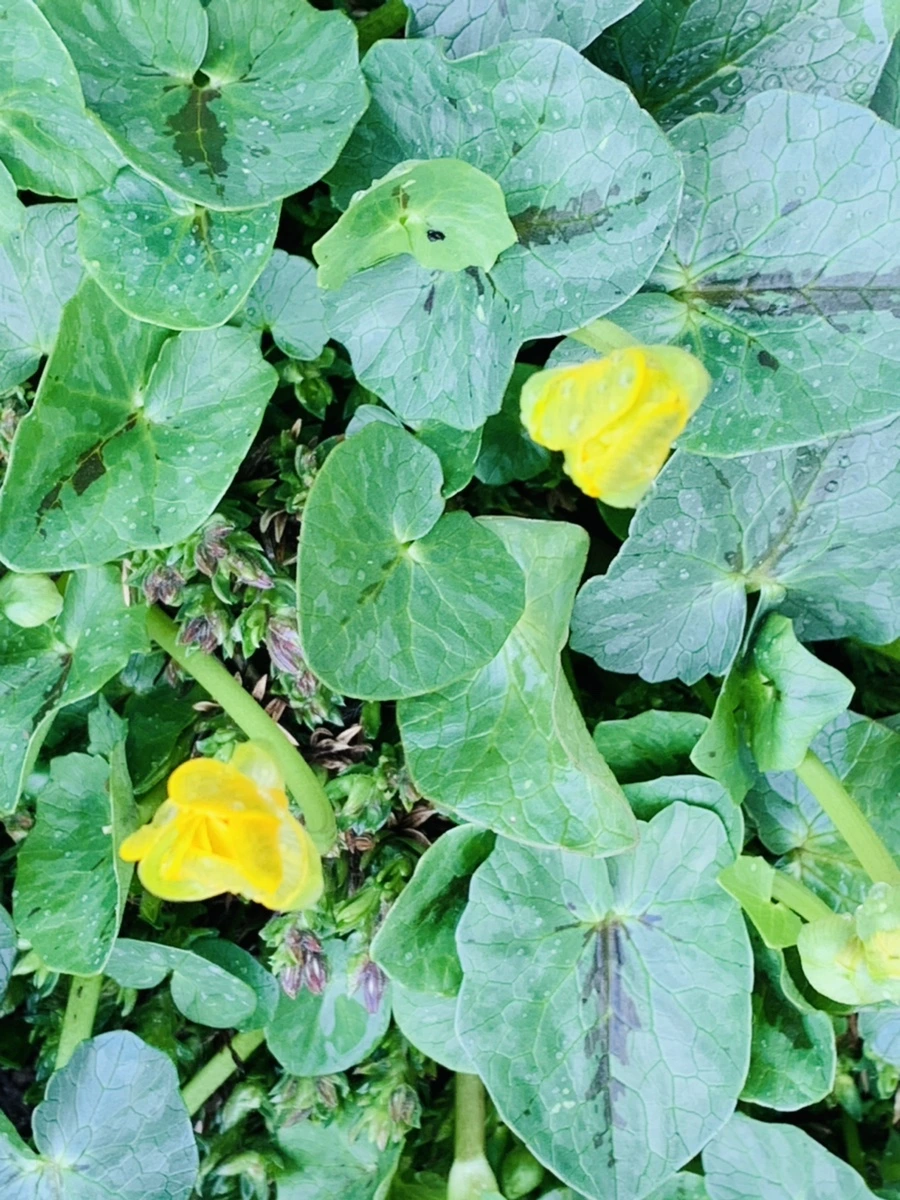 IMG_5331.jpg?type=w966