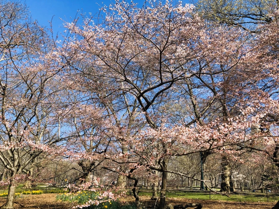 IMG_6640.jpg?type=w966