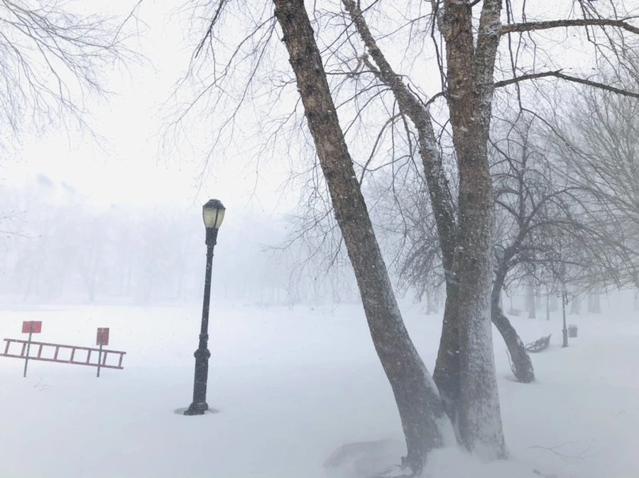 IMG_8803.jpg?type=w966