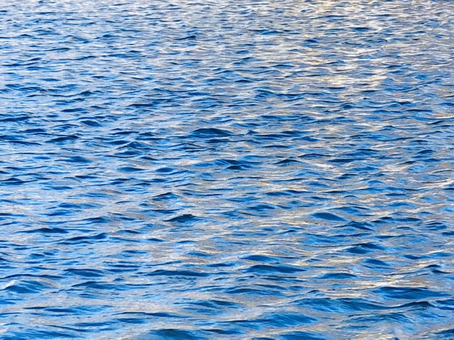 IMG_3748.jpg?type=w966