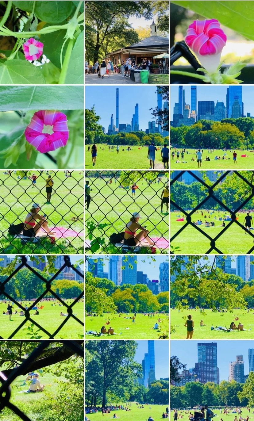 IMG_7701.jpg?type=w966