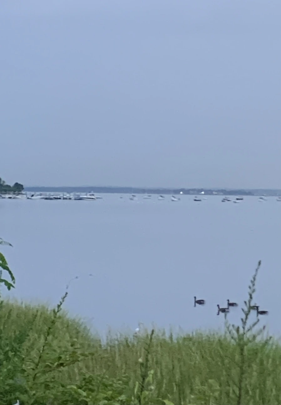 IMG_0507.jpg?type=w966