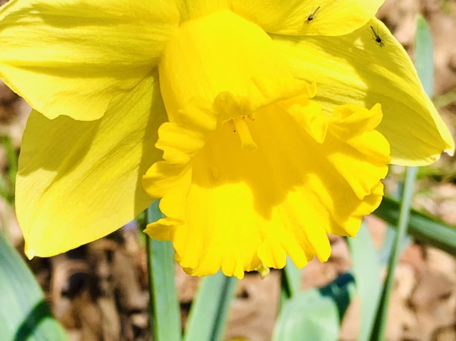 IMG_3167.jpg?type=w966