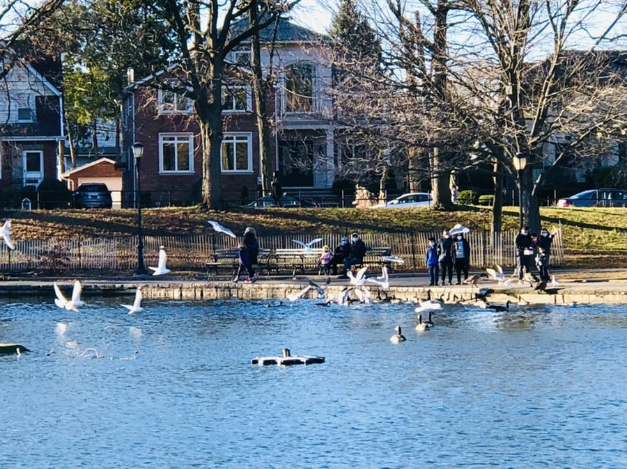 IMG_9254.jpg?type=w966