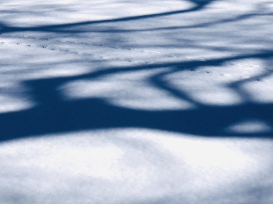 IMG_3943.jpg?type=w966