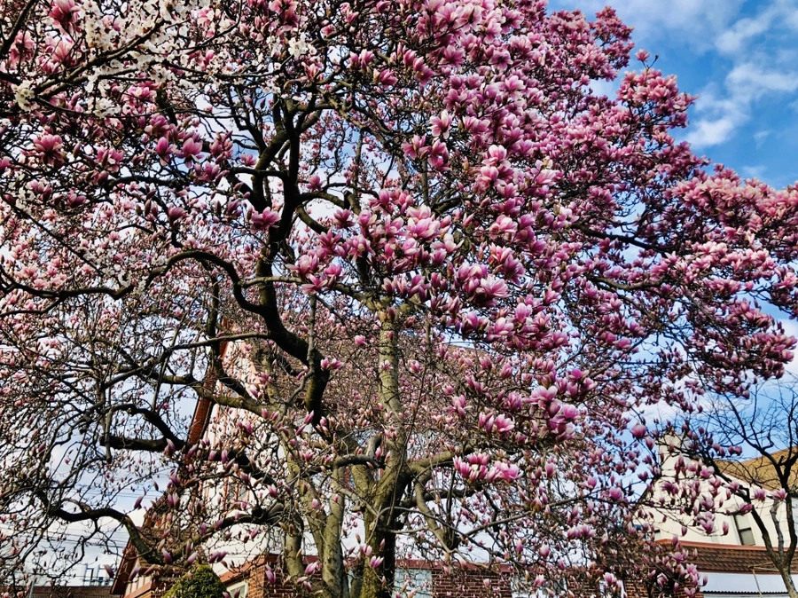 IMG_6547.jpg?type=w966