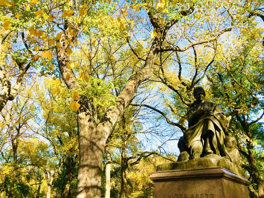 IMG_3460.jpg?type=w966