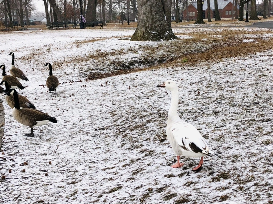 IMG_5916.jpg?type=w966