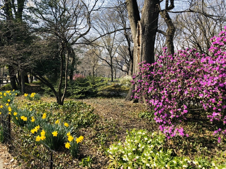 IMG_6475.jpg?type=w966