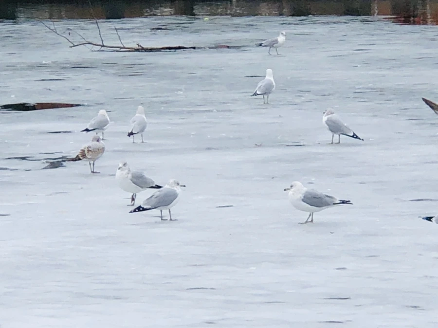 IMG_6338.jpg?type=w966