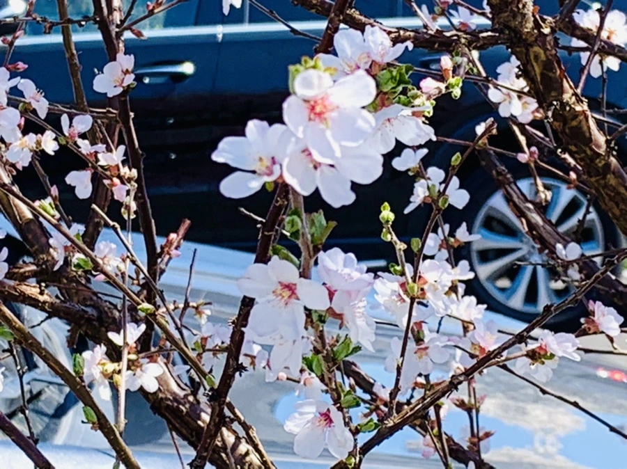 IMG_8085.jpg?type=w966