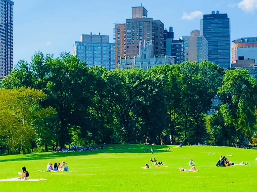 IMG_9665.jpg?type=w966