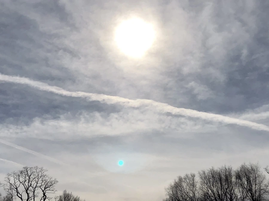 IMG_5737.jpg?type=w966