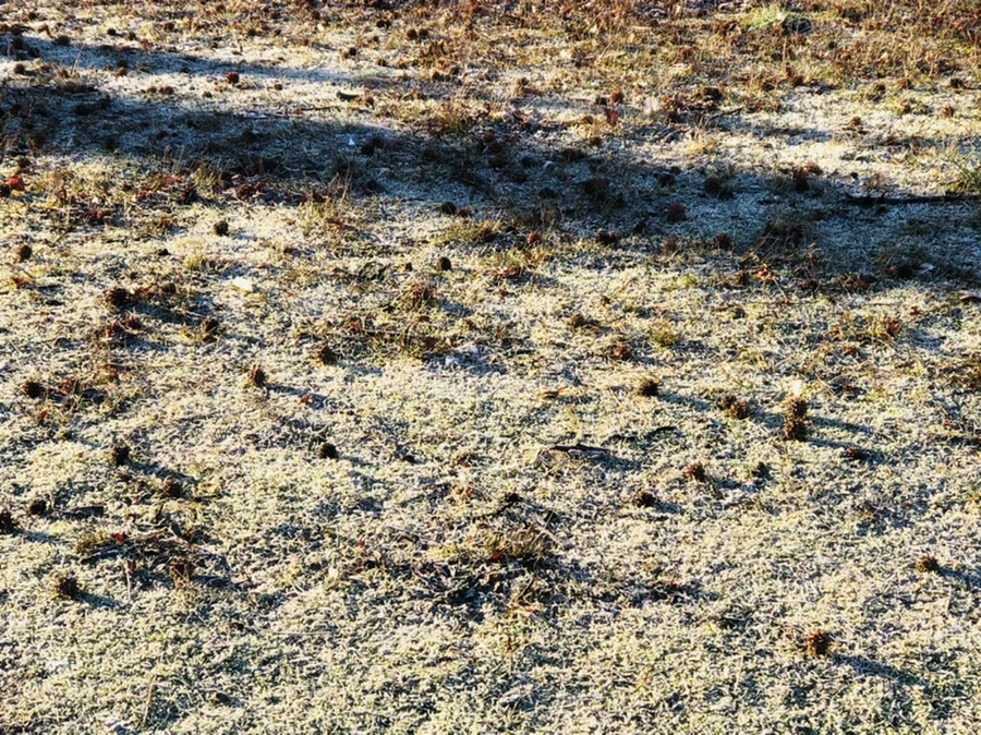 IMG_2223.jpg?type=w966