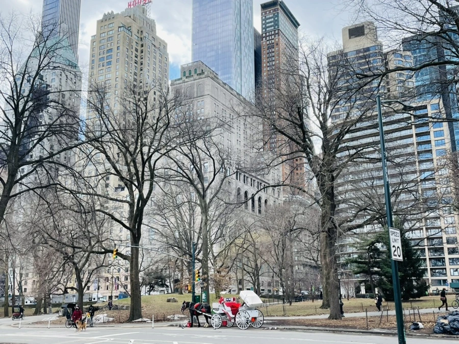 IMG_1782.jpg?type=w966