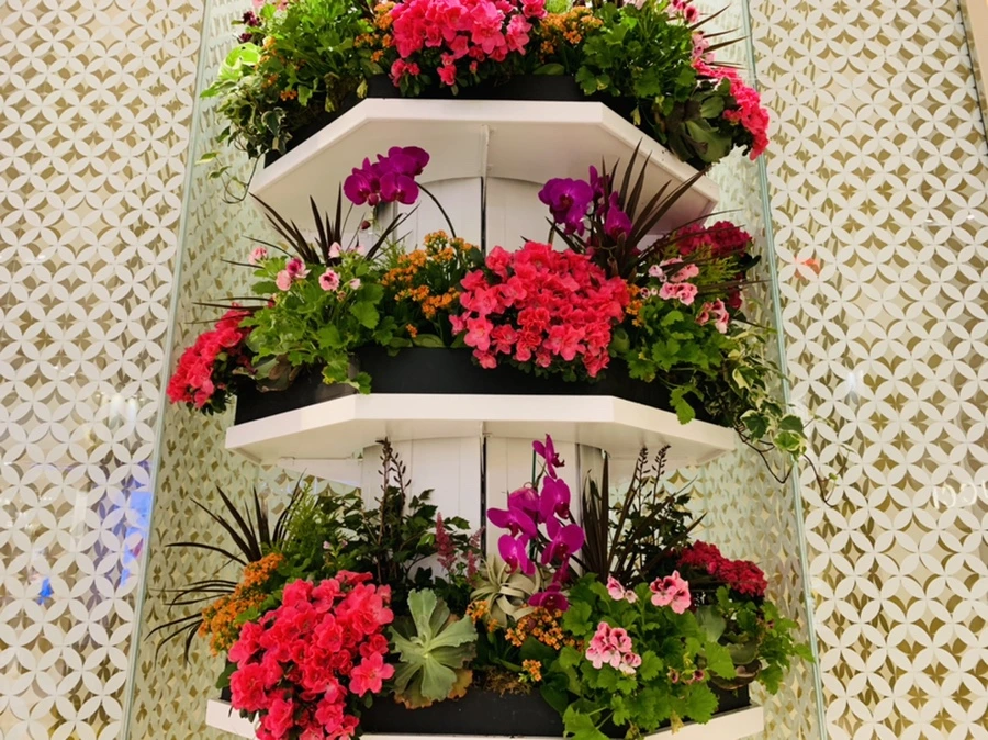 IMG_1586.jpg?type=w966