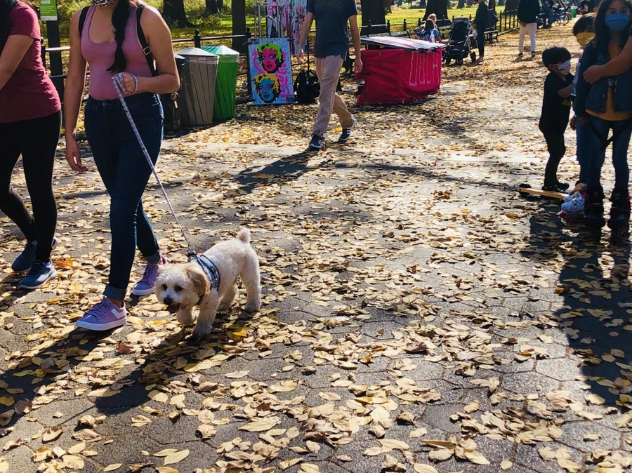 IMG_4286.jpg?type=w966