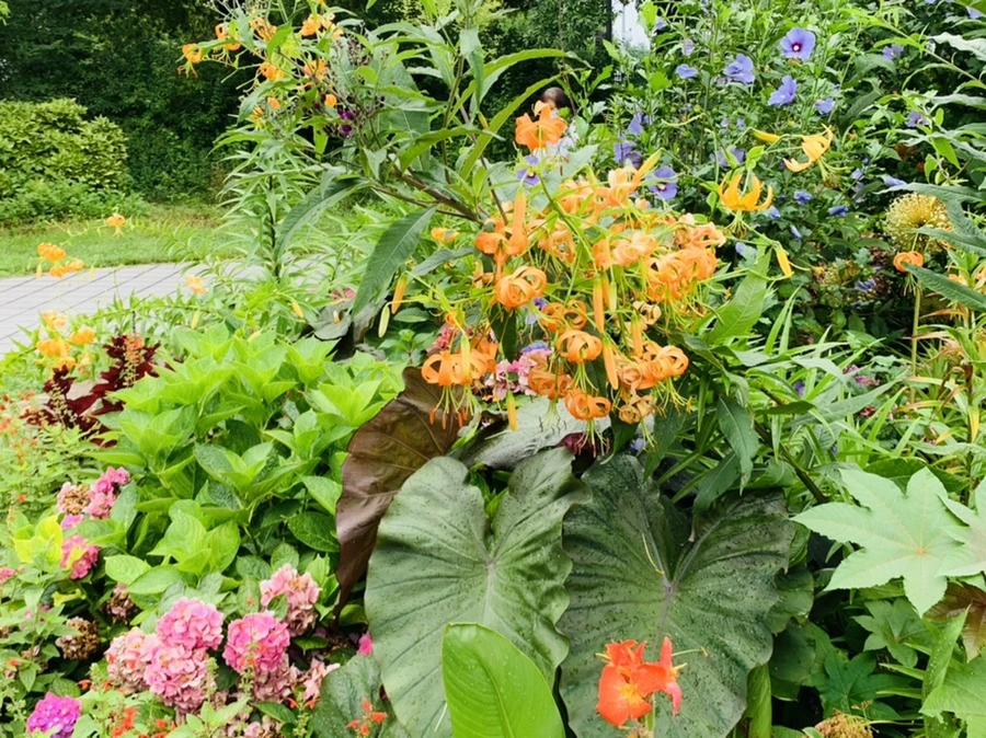 IMG_1116.jpg?type=w966