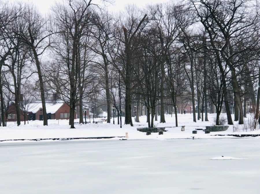 IMG_8963.jpg?type=w966