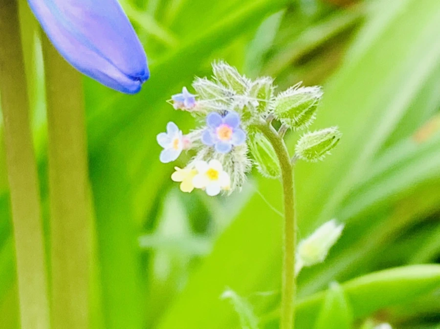 IMG_8658.jpg?type=w966