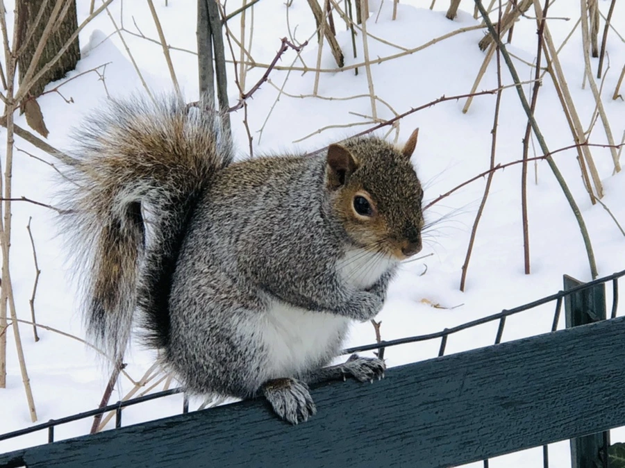 IMG_9515.jpg?type=w966