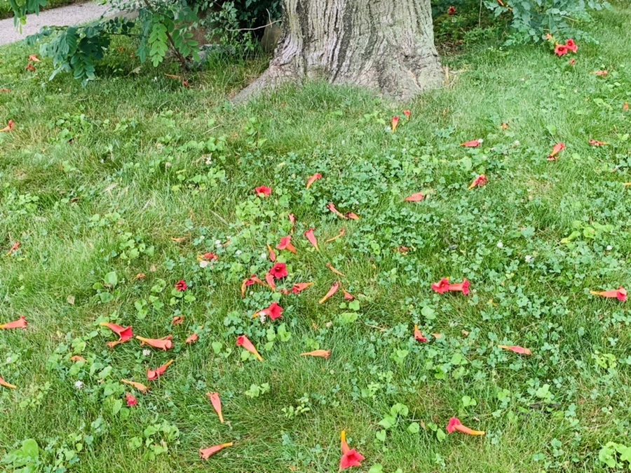 IMG_7434.jpg?type=w966