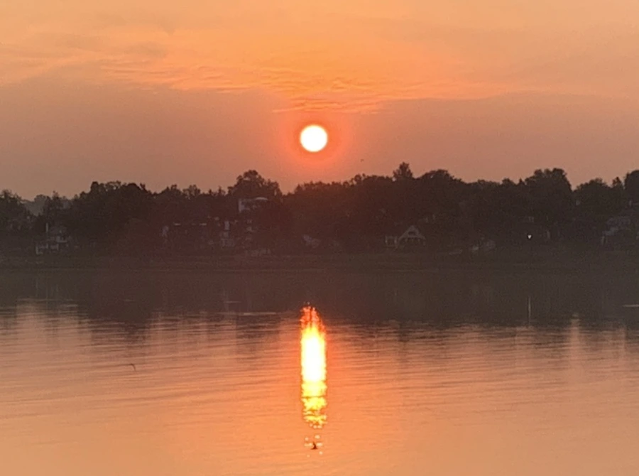 IMG_1372.jpg?type=w966