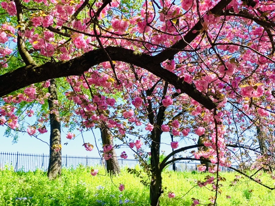 IMG_5906.jpg?type=w966