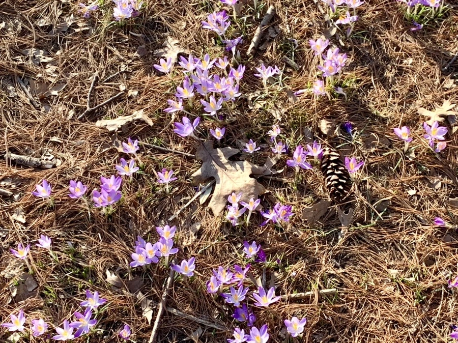 IMG_0412.jpg?type=w966