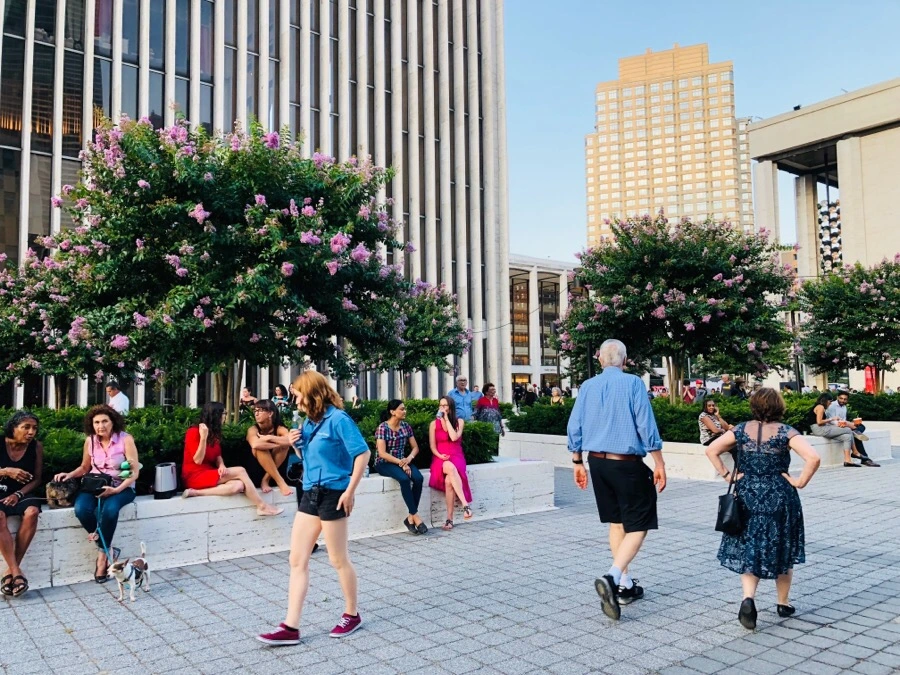 IMG_9558.jpg?type=w966