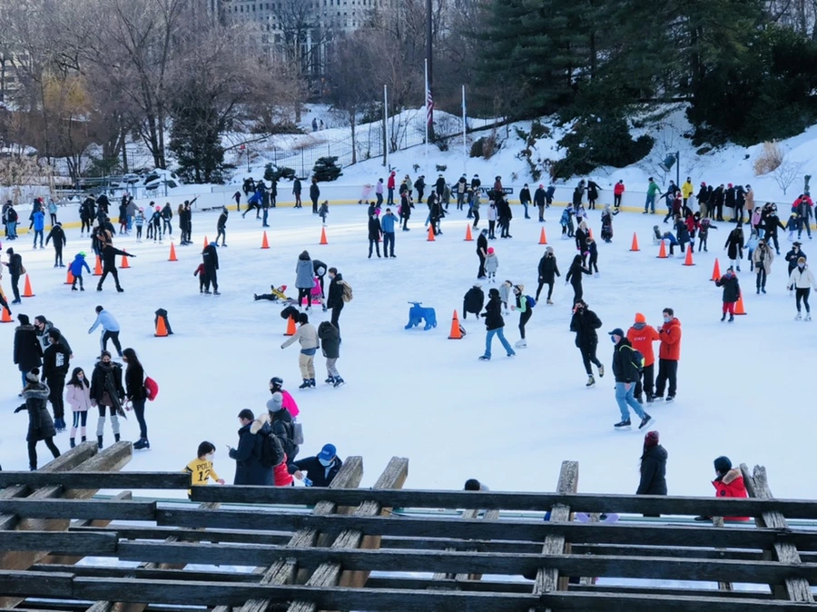 IMG_0871.jpg?type=w966