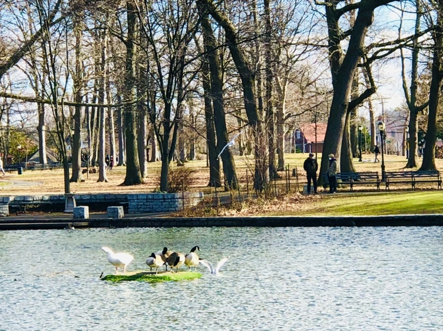 IMG_9237.jpg?type=w966