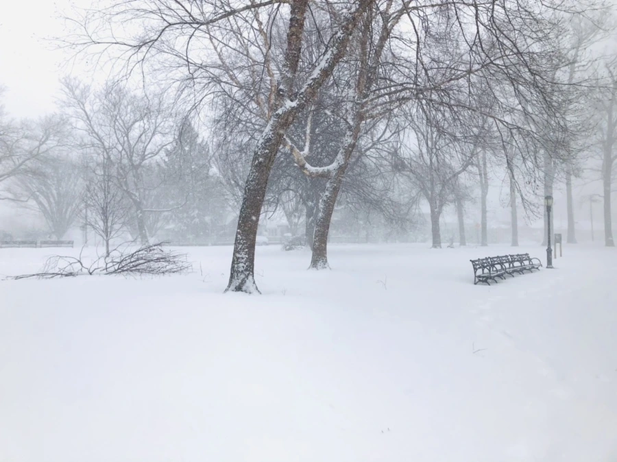 IMG_8842.jpg?type=w966