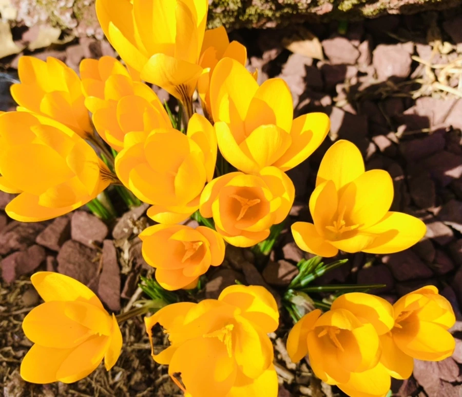 IMG_0676.jpg?type=w966