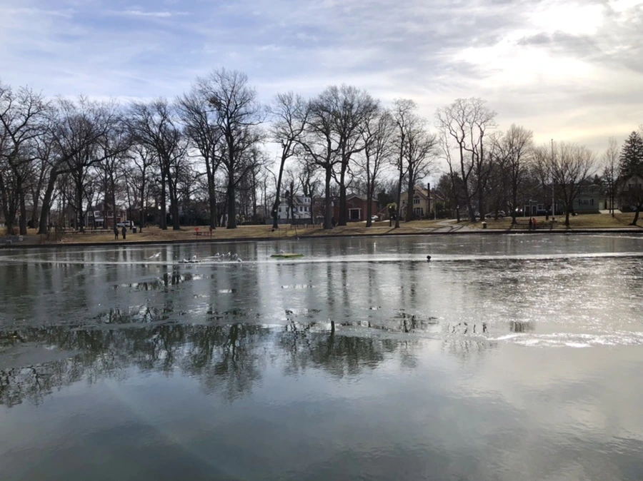 IMG_5691.jpg?type=w966