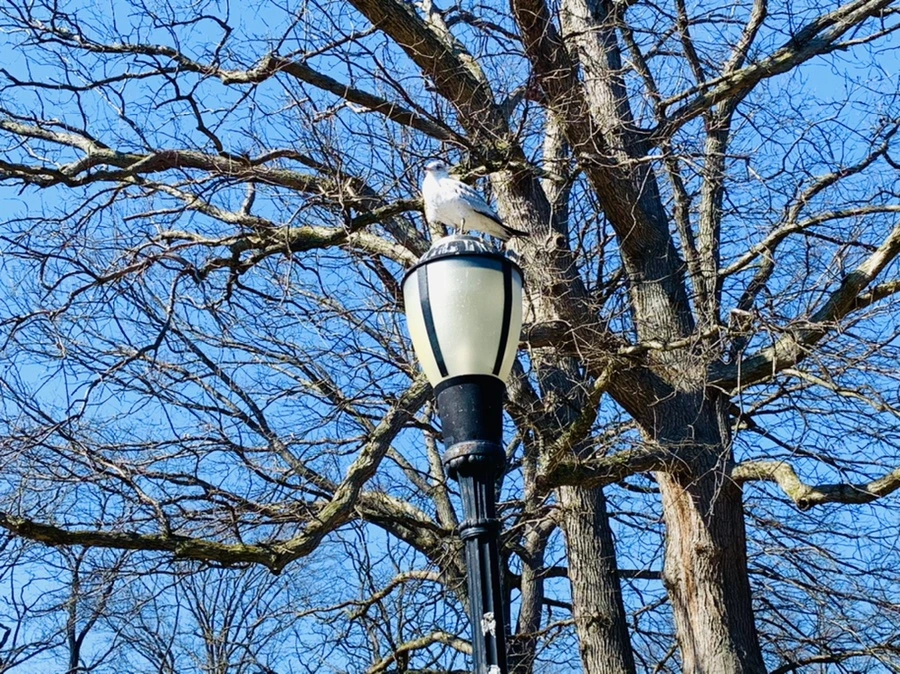 IMG_9569.jpg?type=w966