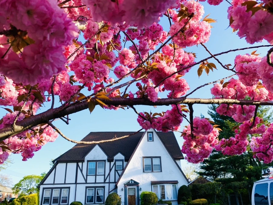 IMG_4974.jpg?type=w966