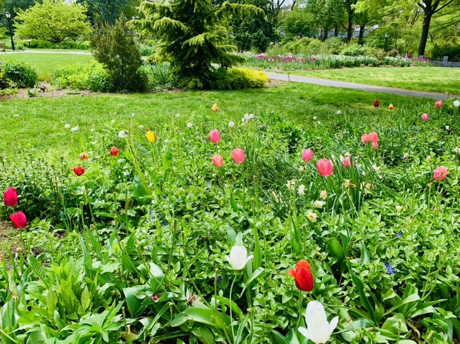 IMG_1233.jpg?type=w966