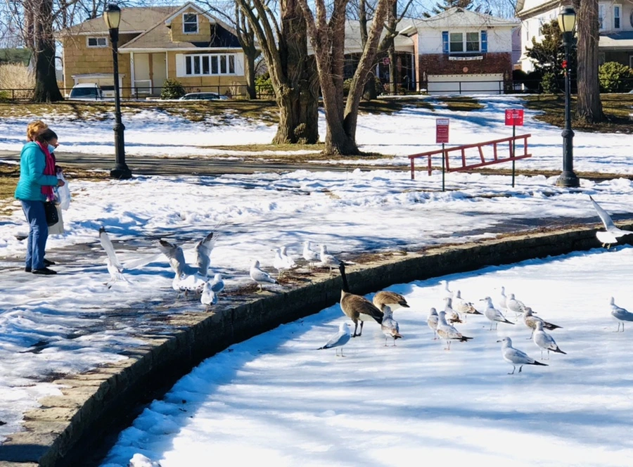 IMG_4802.jpg?type=w966