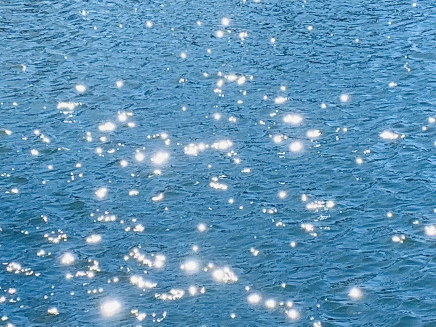 IMG_7556.jpg?type=w966